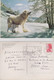 Lot 100 CPM De Chiens - - 100 - 499 Cartes