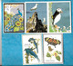 LOT De 9 Petits Calendriers - ANIMAUX, Paon, Oiseaux, Papillons, Dromadaire, Chien, Oie, Dauphin - Petit Format : 1991-00