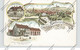 0-5101 RIETHNORDHAUSEN, Lithographie, Schlachterei & Gasthaus Wipprecht, Neue Schule, Dorfansicht - Soemmerda