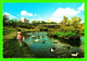 MOOSE JAW, SASKATCHEWAN - CRESCENT PARK - ANIMATED KID AND DUCKS - COLOR PHOTO BY JOE FARTAK - - Otros & Sin Clasificación