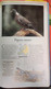 GUIDE D'OBSERVATION DES OISEAUX Dont Pigeon-Tourterelle-Hibou-Chouette-Canard-Poule-Pingouin .... - Wissenschaft