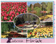 (JJ 22) Australia - ACT - Canberra Event - Floriade (no Stamp) - Canberra (ACT)