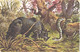 F.Perlberg:Rhinoceros With Snake, Pre 1929 - Rhinozeros