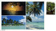 MALDIVE  Multiview  Nice Stamp Bird - Maldives