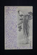 JAPON - Affranchissement De Yokohama Sur Carte Postale ( Coq ) En 1911 Pour L'Allemagne Via Sibérie - L 90001 - Cartas & Documentos