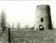 HAALTERT (Oost-Vlaanderen) - Molen/moulin - Historische Opname Van De Verdwenen Stenen Molenromp ('Topmolen') In 1982 - Haaltert