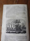 Delcampe - 1847   MAGASIN PITTORESQUE  Rare Journal Original Année 1847----------> Pour Trouver ,écrire -----> 1847 MP - 1800 - 1849