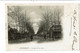 CPA-Carte Postale France-Courtenay-Avenue De La Gare 1903-VM28244 - Courtenay