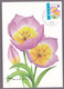 Carte Maximum  FLEURS - BUZIN André - Tulipe "Bakeri" - Timbre N°3872 ND En Haut - Oblitération Bruxelles - 2001-2010