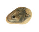 GREY WOLF Hand Painted On A Smooth Beach Stone Paperweight - Animaux