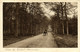 Nederland, STAVERDEN, Laan Bij Kasteel (1933) Ansichtkaart - Ermelo