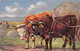 ¤¤  -  VACHES , BOEUFS  -  Illustrateurs   -  Lot De 4 Cartes , Attelage    -  ¤¤ - Kühe