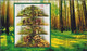 POLAND 2012 Booklet / Edible And Poisonous Mushrooms In Polish Forests / Full Sheet MNH** - Cuadernillos