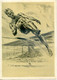 48462 - Deutsches Reich - 1935 - Sport-Werbepostkarte Nr.12, Ungebraucht - Other & Unclassified