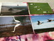 Delcampe - Ornithologie Oiseaux 2 DVD Et 10 Photos Coffret Collector Et Numéroté Les Ailes De La Nature - Dokumentarfilme