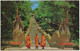 The Dragon Staircase Of Doi Suthep, Chiengmai, Northern Thailand - (Monks) - Thaïlande