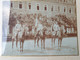 Cadre Photo Militaires Garde  4ème Régiment Chasseur à Cheval 14-18 Ww1 Poilu - 1914-18