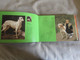 Delcampe - Zoo Animals In Art By Edward Lucie Smith - Belle-Arti