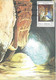 Timbre Et Carte Postale Grotte De Roumanie Flamme Illustrée Grotte Bucarest 13 Nov 1990 - Marcofilia