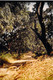 Afrique  MALI Photo Originale 1991  Piste De L'IPR (Institut Polytechnique Rural De Formation Et De Recherche Appliquée) - Mali