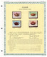 (stamps 15-3-2021) Taiwan (ex Formosa) Republic Of China - Mint Stamp On Presentation Page (1 Page) Teapot - Sonstige & Ohne Zuordnung