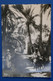 M8 MAROC BELLE CARTE  1950 AGADIR POUR VILLENEUVE FRANCE+ OASIS +PAIRE DE  T.P+ AFFRANCH.INTERESSANT - Covers & Documents