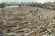 Spokane River, Log Jam, Bridge - Spokane