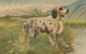 CHIEN SERIE ARTISTICA VELLUTO EDITION A TRALDI MILANO N°1202 - Honden