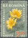 RUMÄNIEN 1959 Einheimische Flora Adonisröschen 3,20 L Gest. ABART FEHLENDE FARBE - Errors, Freaks & Oddities (EFO)