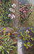 Delcampe - 118 Cards Medicinal Plants; Ed. Gehe & Co.,Dresden  Arznei - Planzen Aus Jahre 60  Serie Complet (?) Unused - Medicinal Plants