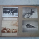 Delcampe - ALBUM  150 PHOTO FAMILLE MONTAGNE SUISSE - Album & Collezioni
