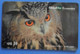 Switzerland Swiss Owl Bird Oiseaux Vogel Birds Owls Globalone Economy - Owls