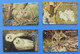 Jersey Telecoms Owl X4 Complete Set Cards Bird Oiseaux Vogel Birds Owls Eulen Gufo - Owls