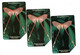 Moths Of Sierra Leone , Eustera Brachyura , 3 Cards Used - Sierra Leona