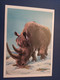 Animaux -Collection "Les Dinosaures" CHILOTHERIUM 1987 RHINO - Rhinozeros