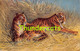 CPA ILLUSTRATEUR ARTIST SIGNED AUGUST MULLER TIGRE TIGER - Mueller, August - Munich