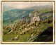 CALENDRIER GF 1960 - Troupeau De Moutons Et Berger Dans La Montagne, Imprimeur Oberthur Rennes - Big : 1941-60