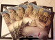 Lotto N. 5 LP – Gioacchino Rossini – Il Barbiere Di Siviglia - Fabbri Editore (82) Come Da Foto Opera Completa In 4 Racc - Complete Collections