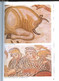 LES MOSAIQUES DE LA VILLA "ERCULIA" DE PIAZZA ARMERINA - MORGANTINA - 2 PHOTOS DISPONIBLES. - SALVATORE CIURCA - 0 - Corse