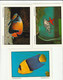 Série Complète De 12 Cartes POISSONS CORALLIENS - Extrait Du Livre "Le Monde Marin à Domicile" De J. Heidmann - Pescados Y Crustáceos