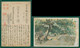 JAPAN WWII Military Baoding Lotus Flower Pond Picture Postcard North China Chine WW2 Japon Gippone - 1941-45 China Dela Norte