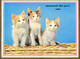 CALENDRIER GF 1965 - La Grenouille Et L'enfant Ou Les Chatons, Imprimeur Oller (calendrier Double) - Grand Format : 1961-70