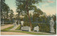 USA 1920 5 Different Coloured Postcards (Americhrom-Series) LAKEWOOD, New Jersey - Other & Unclassified