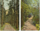 USA 1920 5 Different Coloured Postcards (Americhrom-Series) LAKEWOOD, New Jersey - Other & Unclassified