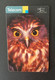 (MM 5) Telephone Card - Phonecard - Télécarte / Owls - Hiboux - Morepork - Uilen