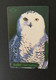 (MM 5) Telephone Card - Phonecard - Télécarte / Owls - Hiboux - (Turkey) - Owls