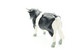 Britains Ltd, Deetail : ANIMALS : COW , Made In England, LTD 1978 *** - Britains