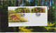 POLAND 2012 Booklet / Edible And Poisonous Mushrooms In Polish Forests / Full Sheet MNH** + 2 X FDC FV - Cuadernillos