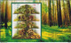 POLAND 2012 Booklet / Edible And Poisonous Mushrooms In Polish Forests / Full Sheet MNH** + 2 X FDC FV - Carnets