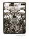 (MM 7) Laos - Black & White (2 Postcards) Religious Procession & Children's - Bouddhisme